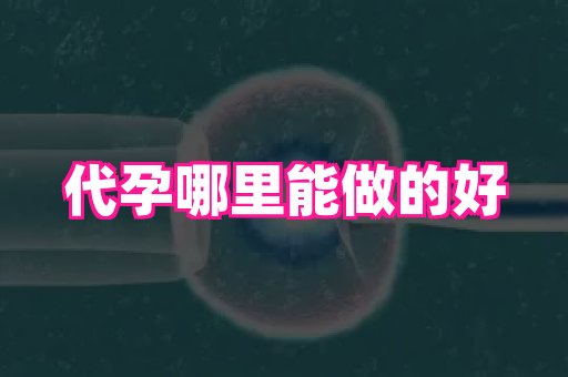 香港助孕网 3